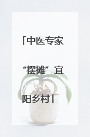 中医专家“摆摊”宜阳乡村