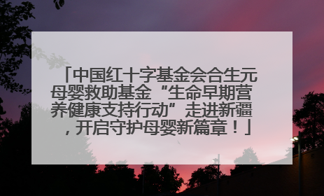 中国红十字基金会合生元母婴救助基金“生命早期营养健康支持行动”走进新疆，开启守护母婴新篇章！