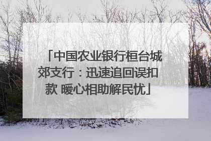 中国农业银行桓台城郊支行：迅速追回误扣款 暖心相助解民忧