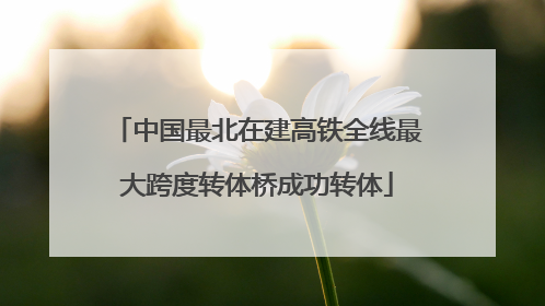 中国最北在建高铁全线最大跨度转体桥成功转体