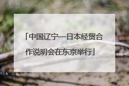 中国辽宁—日本经贸合作说明会在东京举行