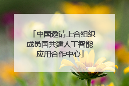 中国邀请上合组织成员国共建人工智能应用合作中心