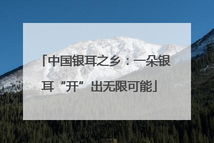 中国银耳之乡：一朵银耳“开”出无限可能
