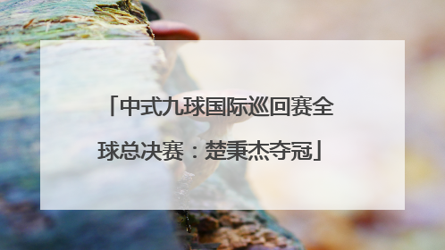 中式九球国际巡回赛全球总决赛：楚秉杰夺冠