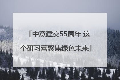 中意建交55周年 这个研习营聚焦绿色未来