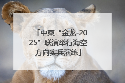 中柬“金龙-2025”联演举行海空方向实兵演练
