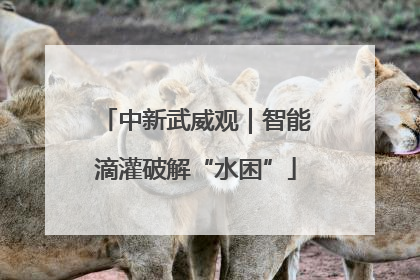 中新武威观｜智能滴灌破解“水困”