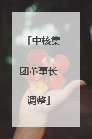 中核集团董事长调整