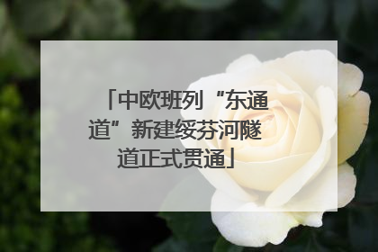 中欧班列“东通道”新建绥芬河隧道正式贯通