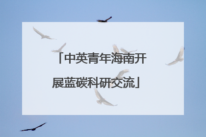 中英青年海南开展蓝碳科研交流