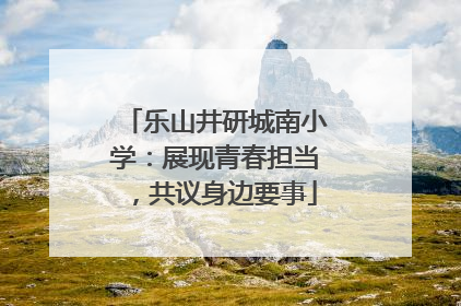 乐山井研城南小学：展现青春担当，共议身边要事