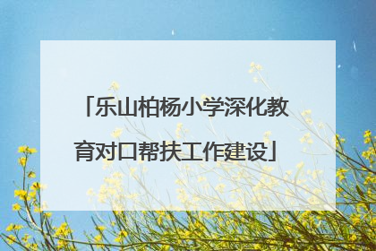 乐山柏杨小学深化教育对口帮扶工作建设