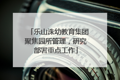 乐山洙幼教育集团聚焦园所管理，研究部署重点工作