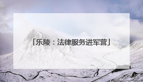 乐陵：法律服务进军营