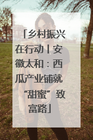 乡村振兴在行动丨安徽太和：西瓜产业铺就“甜蜜”致富路
