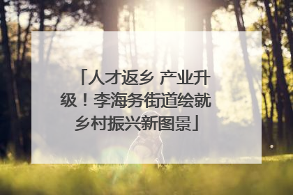 人才返乡 产业升级！李海务街道绘就乡村振兴新图景