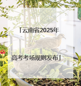 云南省2025年高考考场规则发布