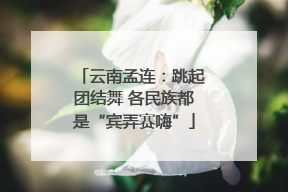 云南孟连：跳起团结舞 各民族都是“宾弄赛嗨”