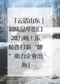 云话山东｜调味品年出口20万吨！乐陵连打新“牌”助力企业出海