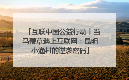 互联中国公益行动丨当马鞭草遇上互联网：昆明小渔村的逆袭密码