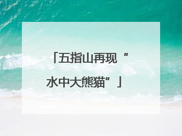五指山再现“水中大熊猫”
