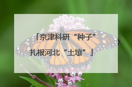 京津科研“种子”扎根河北“土壤”