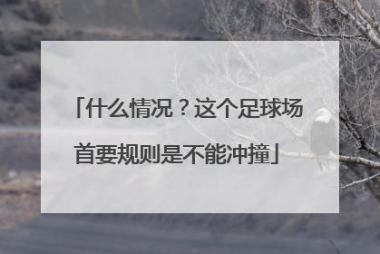 什么情况？这个足球场首要规则是不能冲撞
