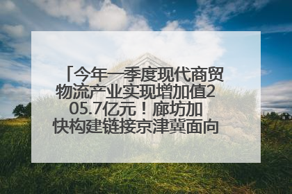 今年一季度现代商贸物流产业实现增加值205.7亿元！廊坊加快构建链接京津冀面向全世界的物流通道