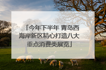 今年下半年 青岛西海岸新区精心打造八大重点消费类展览