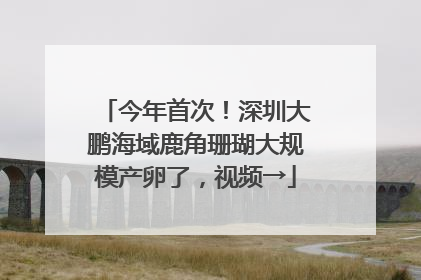 今年首次！深圳大鹏海域鹿角珊瑚大规模产卵了，视频→