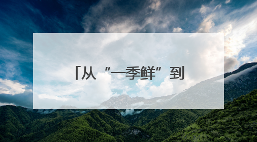 从“一季鲜”到“四季香” 十堰茶产业冲刺百亿