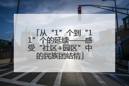 从“1”个到“11”个的延续——感受“社区+园区”中的民族团结情