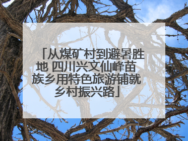 从煤矿村到避暑胜地 四川兴文仙峰苗族乡用特色旅游铺就乡村振兴路