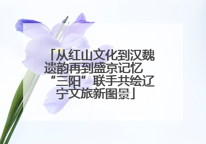 从红山文化到汉魏遗韵再到盛京记忆 “三阳”联手共绘辽宁文旅新图景
