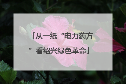 从一纸“电力药方”看绍兴绿色革命