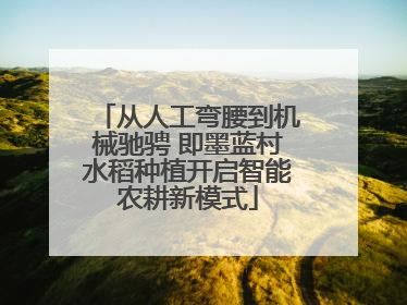 从人工弯腰到机械驰骋 即墨蓝村水稻种植开启智能农耕新模式