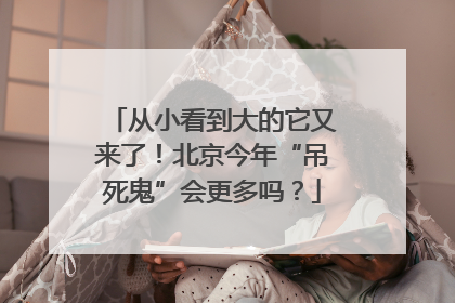 从小看到大的它又来了！北京今年“吊死鬼”会更多吗？