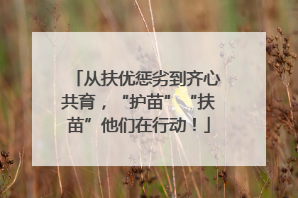 从扶优惩劣到齐心共育，“护苗”“扶苗”他们在行动！