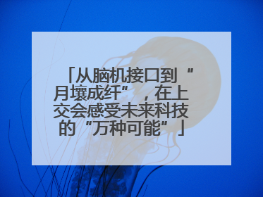 从脑机接口到“月壤成纤”，在上交会感受未来科技的“万种可能”