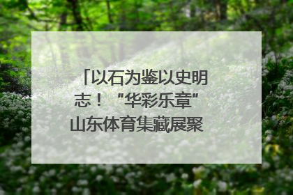 以石为鉴以史明志！“华彩乐章”山东体育集藏展聚焦“岱石丹心”
