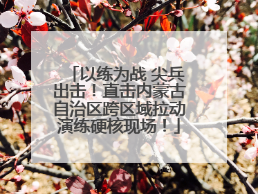 以练为战 尖兵出击！直击内蒙古自治区跨区域拉动演练硬核现场！