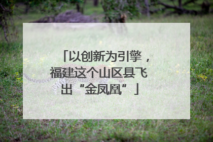 以创新为引擎，福建这个山区县飞出“金凤凰”