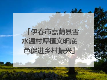 伊春市嘉荫县雪水温村厚植文明底色促进乡村振兴