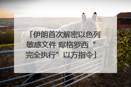 伊朗首次解密以色列敏感文件 曝格罗西“完全执行”以方指令