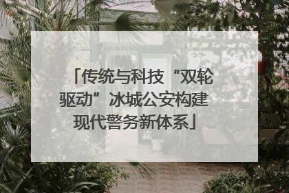 传统与科技“双轮驱动”冰城公安构建现代警务新体系