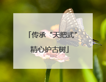传承“天把式” 精心护古树