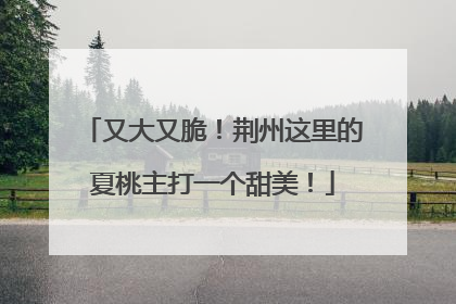 又大又脆！荆州这里的夏桃主打一个甜美！