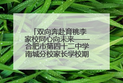 双向奔赴育桃李 家校同心向未来——合肥市第四十二中学南城分校家长学校期末总结会圆满召开