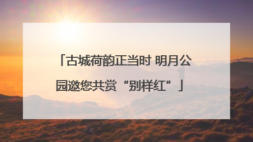 古城荷韵正当时 明月公园邀您共赏“别样红”