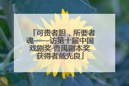 可贵者胆，所要者魂——访第十届中国戏剧奖·曹禺剧本奖获得者戴先良
